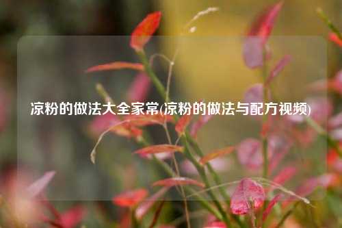 凉粉的做法大全家常(凉粉的做法与配方视频)