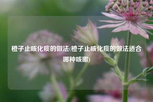 橙子止咳化痰的做法(橙子止咳化痰的做法适合哪种咳嗽)