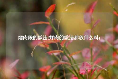 熘肉段的做法(烀肉的做法都放什么料)