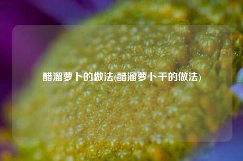 醋溜萝卜的做法(醋溜萝卜干的做法)