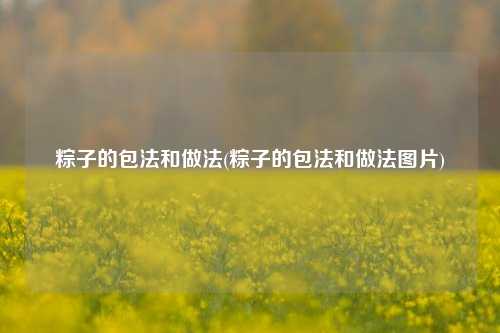粽子的包法和做法(粽子的包法和做法图片)