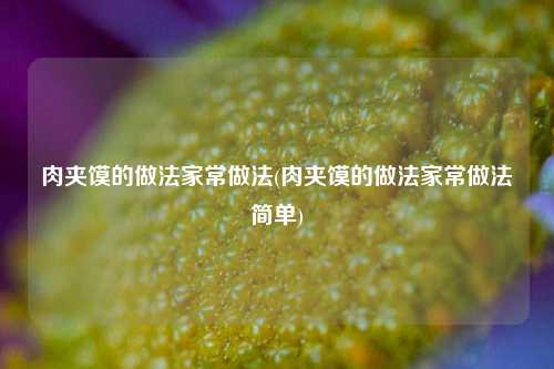 肉夹馍的做法家常做法(肉夹馍的做法家常做法简单)