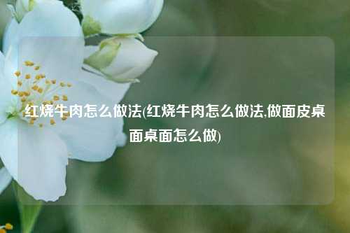 红烧牛肉怎么做法(红烧牛肉怎么做法,做面皮桌面桌面怎么做)