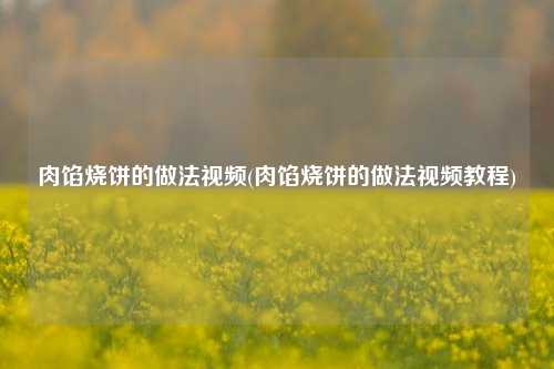 肉馅烧饼的做法视频(肉馅烧饼的做法视频教程)