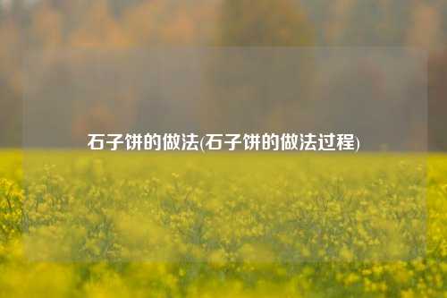 石子饼的做法(石子饼的做法过程)