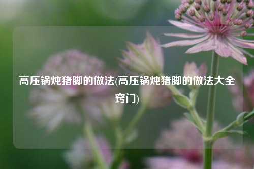 高压锅炖猪脚的做法(高压锅炖猪脚的做法大全窍门)
