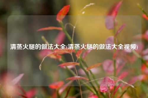 清蒸火腿的做法大全(清蒸火腿的做法大全视频)