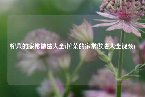 榨菜的家常做法大全(榨菜的家常做法大全视频)
