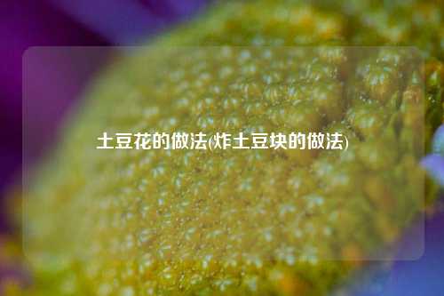 土豆花的做法(炸土豆块的做法)