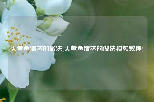 大黄鱼清蒸的做法(大黄鱼清蒸的做法视频教程)