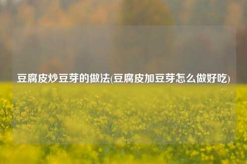 豆腐皮炒豆芽的做法(豆腐皮加豆芽怎么做好吃)