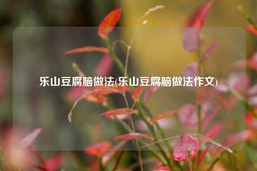 乐山豆腐脑做法(乐山豆腐脑做法作文)