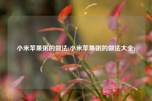 小米苹果粥的做法(小米苹果粥的做法大全)