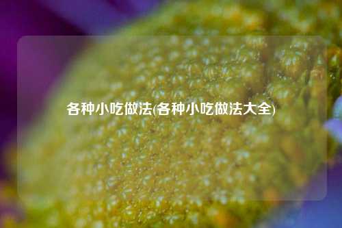 各种小吃做法(各种小吃做法大全)