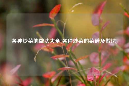 各种炒菜的做法大全(各种炒菜的菜谱及做法)
