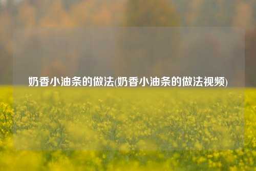 奶香小油条的做法(奶香小油条的做法视频)