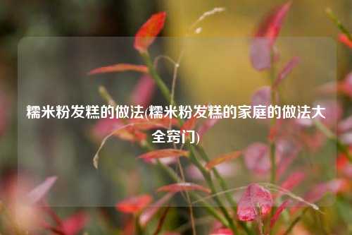 糯米粉发糕的做法(糯米粉发糕的家庭的做法大全窍门)