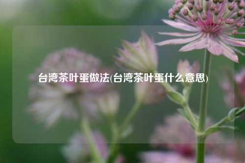 台湾茶叶蛋做法(台湾茶叶蛋什么意思)