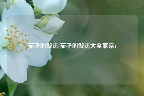 茄孑的做法(茄孑的做法大全家常)