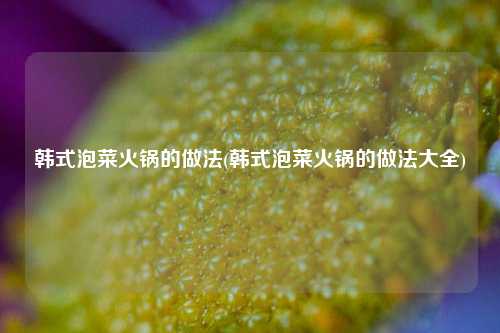 韩式泡菜火锅的做法(韩式泡菜火锅的做法大全)