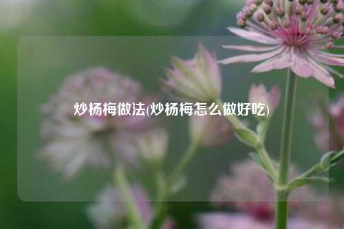 炒杨梅做法(炒杨梅怎么做好吃)